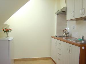 Kuchyňa alebo kuchynka v ubytovaní Apartamenty Pod Lipami