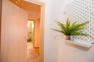 a plant sitting on a shelf in a hallway at Apartments Milena 8 in Mandre +35 photos
