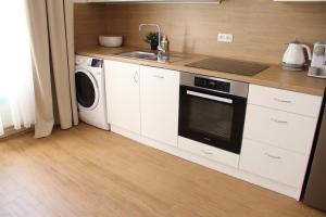Kuchyňa alebo kuchynka v ubytovaní Luxury Design City centre Apartment