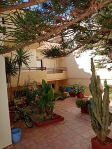 a courtyard with a bunch of plants and trees at John Apartments in Platanias