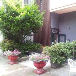 two red vases with flowers in front of a hotel at Albergo Papillon in San Polo dʼEnza in Caviano