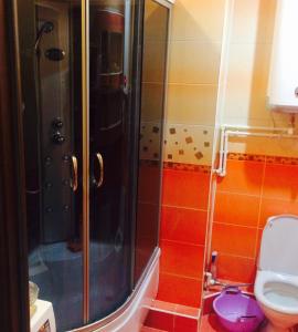 アナパにあるApartment on Pionersky prospektのバスルーム(シャワー、トイレ付)