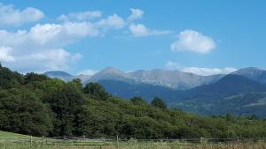 a field with trees and mountains in the background at Mas Lo Faix in Saint-Laurent-de-Cerdans