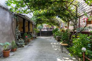 Giardino di The Kiwi House