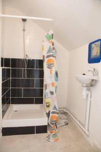 a bathroom with a shower and a sink at Appartement Cosy et Lumineux in Tours