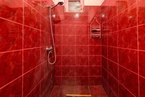 un bagno piastrellato rosso con doccia e piastrelle rosse di The Kiwi House a Lagodekhi