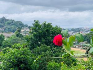 Galería fotográfica de Jaga's Hill homestay en Kandy