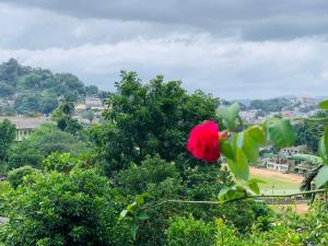 Gallery image of Jaga's Hill homestay in Kandy