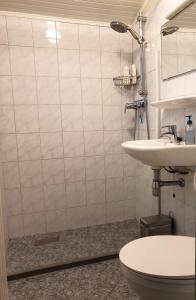 ein Bad mit einem WC und einem Waschbecken in der Unterkunft Vakantiebungalow Oase in Exloo