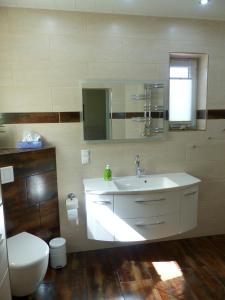 a bathroom with a sink and a toilet and a mirror at Ferienwohnung Stadtoase in Wittenberg in Lutherstadt Wittenberg