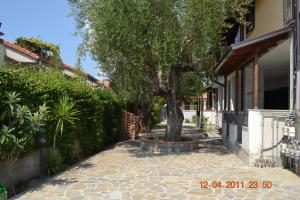 a tree on a sidewalk next to a building at Oasi Peppa in Ascea