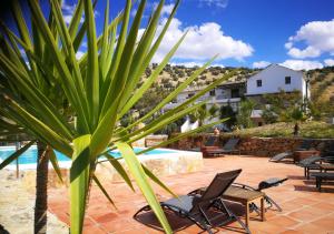 ein Resort mit einem Pool, 2 Stühlen und einer Palme in der Unterkunft Caseria De San José in Iznájar