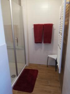 a bathroom with a shower and two red towels at Landhaus Maria in Tettenweis