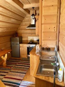 Kuchnia lub aneks kuchenny w obiekcie Apartamenty u Krysi