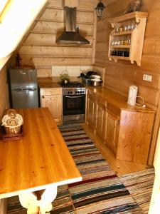 Kuchnia lub aneks kuchenny w obiekcie Apartamenty u Krysi