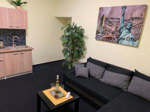 Kuchyňa alebo kuchynka v ubytovaní Apartmán Alesta Bruntál