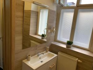 Kúpeľňa v ubytovaní Apartmán Alesta Bruntál