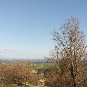 un grupo de árboles en la cima de una colina en Village House Grevena en Grevena