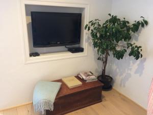 En TV eller et underholdningssystem på The Annexe Chadalais