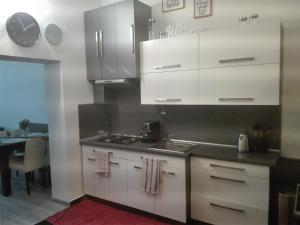 Virtuvė arba virtuvėlė apgyvendinimo įstaigoje Centrum Apartman Kukucinova6