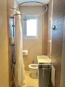 ein Badezimmer mit Dusche, Toilette und Fenster in der Unterkunft The Bookies Apartments in Sofia + 25 Fotos