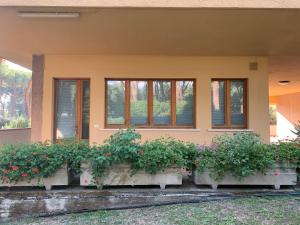 a house with potted plants on the side of it at Appartamenti Pian d'Alma in Punta Ala