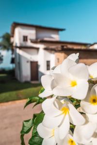 a bunch of white flowers in front of a house at Hotel Varandas Mar De Pipa in Pipa