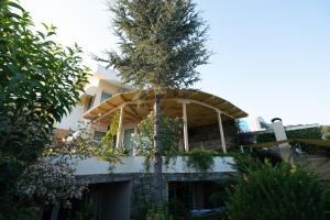 Zahrada ubytování Blue Crystal Villa
