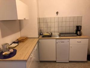 eine Küche mit einer Spüle und einer Arbeitsplatte in der Unterkunft Haus Linde Frauenwald am Rennsteig in Frauenwald