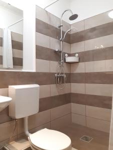 ブダペストにあるリヒテンシュタイン アパートメンツのバスルーム(トイレ、シャワー付)