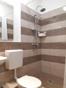 a bathroom with a toilet and a shower at Liechtenstein Apartments in Budapest