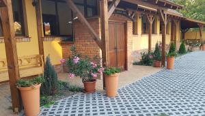 A garden outside Toscana Apartman