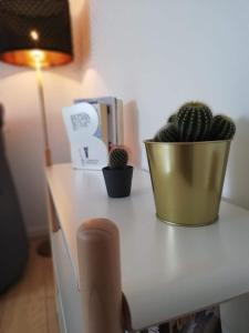 una tavola con due cactus e una pianta in vaso di Appartement cosy Spa a Spa