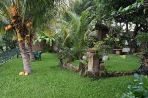 einen Garten mit einer Palme und etwas Obst auf dem Gras in der Unterkunft The Mayan Grouper in Suchitoto