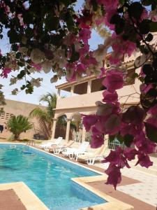 ein Resort mit einem Pool, Stühlen und Blumen in der Unterkunft Villa Savana in Saly Portudal
