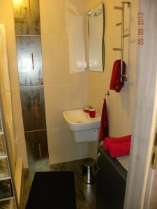 a small bathroom with a sink and a shower at Apartament U Anny in Karpacz