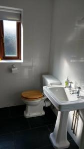 a bathroom with a toilet and a sink at Honey Cottage in Amlwch