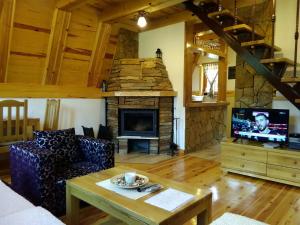 a living room with a couch and a fireplace at Mountain House Tadić 1 in Bajina Bašta