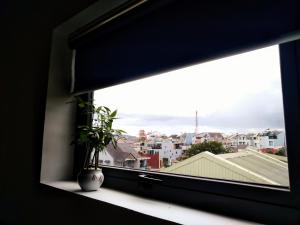Fotografie z fotogalerie ubytování Be.Ho DaLat - Attic v destinaci Da Lat