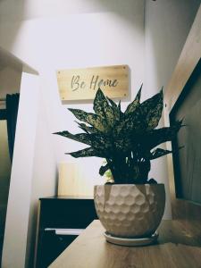 Fotografie z fotogalerie ubytování Be.Ho DaLat - Attic v destinaci Da Lat