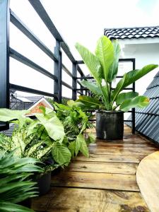 Balkón nebo terasa v ubytování Be.Ho DaLat - Attic