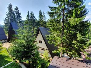ヴラシチにあるVikendica PAMの木の家屋空見