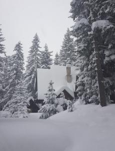 ヴラシチにあるVikendica PAMの雪に覆われた森と木々と建物