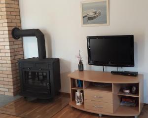 a living room with a fireplace and a television and a stove at Medjugorje Perfect family house in Međugorje