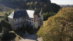 eine Luftansicht eines großen Hauses in einem Berg in der Unterkunft Chateau de Sainte Colombe Sur Gand in Sainte-Colombe-sur-Gand