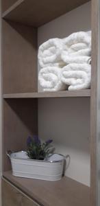 ein Regal mit einer Pflanze und Handtüchern darauf in der Unterkunft Morriña in Ourense