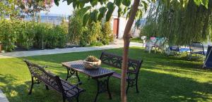 Gallery image of Pelion Platanidia seaside house in Platanidia