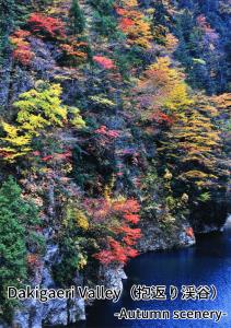 Foto de la galería de Onsen Yupopo en Senboku