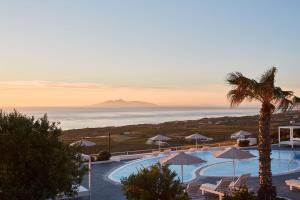 a view of a pool with a palm tree and the ocean at Amber Light Villas in Imerovigli