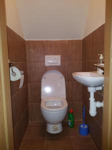 Koupelna v ubytování Cihlářka v Krkonoších - Apartmán 206